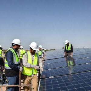 برق خورشیدی برای انکوباتور طیور
